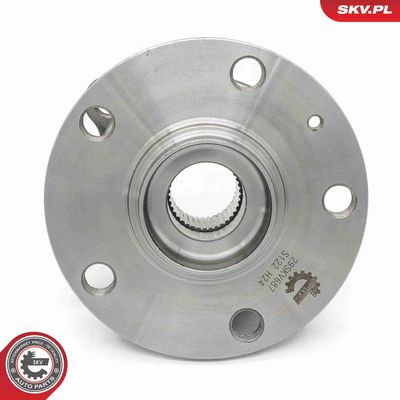 SET RULMENT ROATA ESEN SKV 29SKV687 4