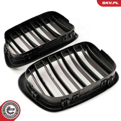 GRILA RADIATOR ESEN SKV 66SKV162 3