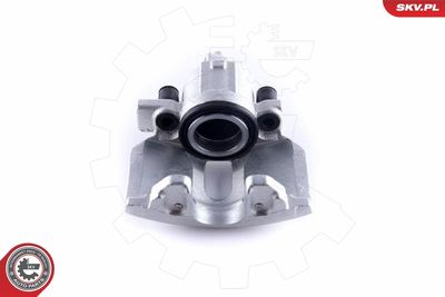 Brake Caliper 50SKV981