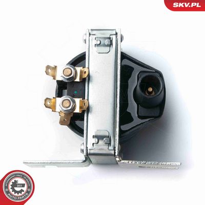 BOBINA DE INDUCTIE ESEN SKV 03SKV212 4