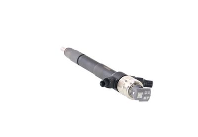 INJECTOR REMANTE 002003001019R 22