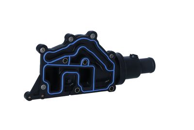 TERMOSTAT LICHID RACIRE NRF 725053 24