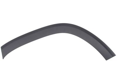 Elemente decorative/protectie, aripa Blic 5703-04-3584473P