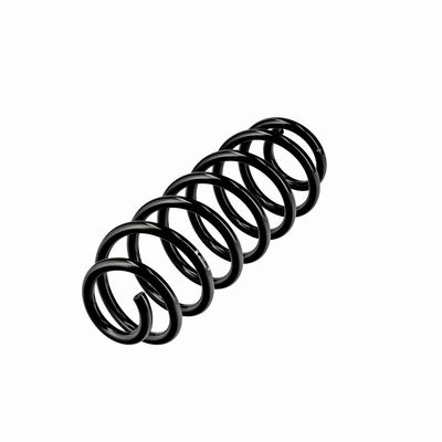 ARC SPIRAL EIBACH R10795 3
