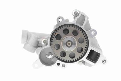 ÖLPUMPE VAICO V303822 8