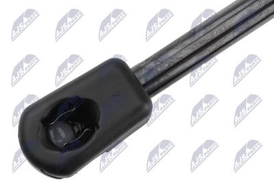 AMORTIZOR PORTBAGAJ NTY AERE076 1