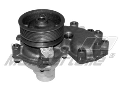 водна помпа, охлаждане на двигателя A.Z. Meisterteile AZMT-30-100-1598