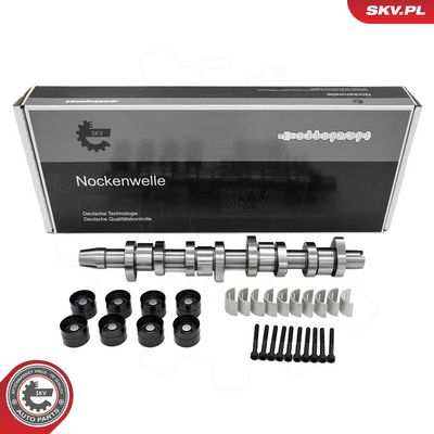 комплект разпределителен вал ESEN SKV 80SKV302