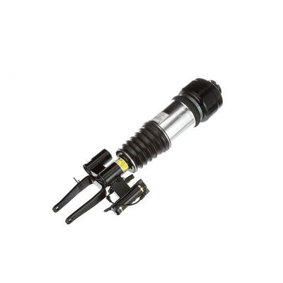 LUFTFEDERBEIN Arnott AS3001 61