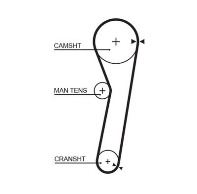 Timing Belt GATES 5365