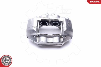 Brake Caliper 46SKV732