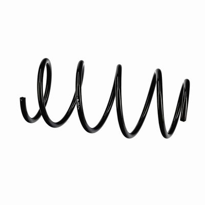 ARC SPIRAL EIBACH R11070 8