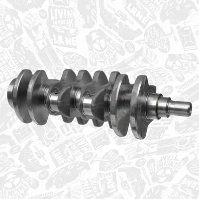 ARBORE COTIT ET ENGINETEAM HK0205 1