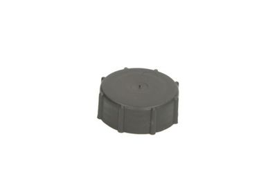 Tankdop ruitensproeier