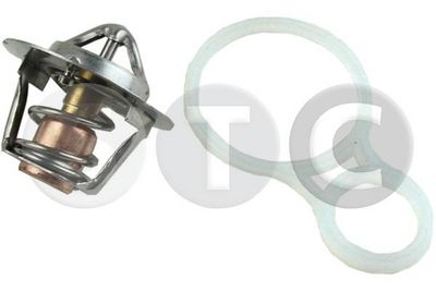 TERMOSTAT LICHID RACIRE
