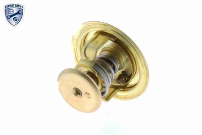 TERMOSTAT LICHID RACIRE VEMO V50990002 9