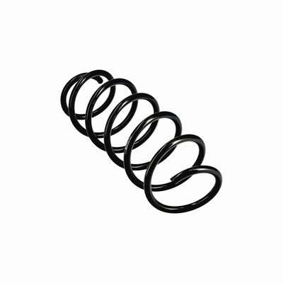 ARC SPIRAL EIBACH R11019 23