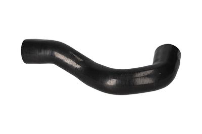 FURTUN EAR SUPRAALIMENTARE BIRTH 55646 7