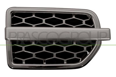 ZIER-/SCHUTZLEISTE KOTFLüGEL