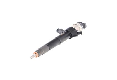 INJECTOR REMANTE 002003001019R 63