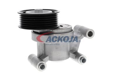 INTINZATOR CUREA CUREA DISTRIBUTIE ACKOJA A320602 57