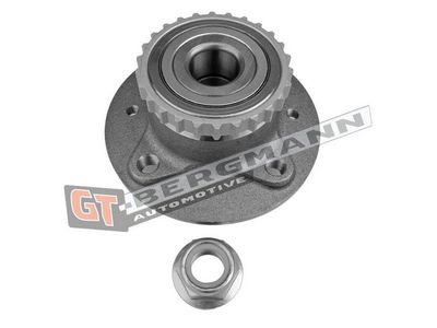 GT-BERGMANN Automotive Rato guolio komplektas