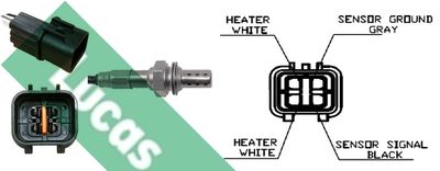 SONDA LAMBDA