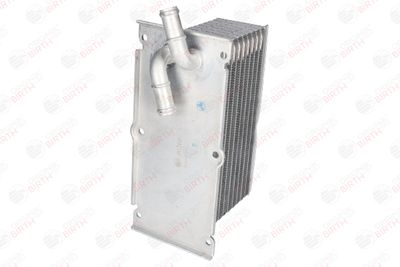 RADIATOR ULEI ULEI MOTOR BIRTH 80266 11