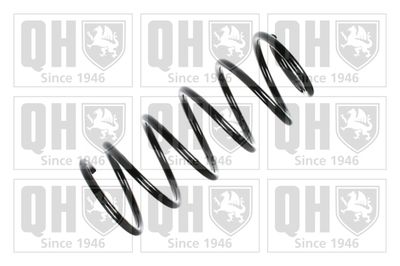 QUINTON HAZELL QCS6942 Пружина подвески  для OPEL (Опель)
