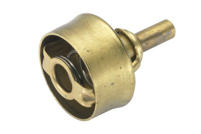 TERMOSTAT LICHID RACIRE BorgWarner (Wahler) 302978 2