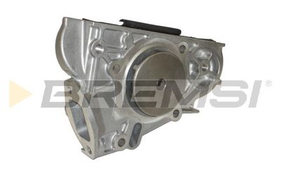 Водяной насос, охлаждение двигателя BREMSI WP0067 для MAZDA XEDOS