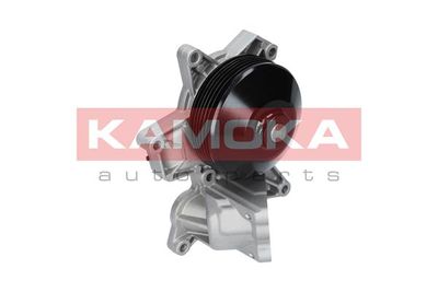 Water Pump, engine cooling T0048