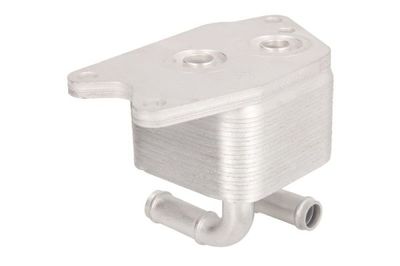 RADIATOR ULEI ULEI MOTOR THERMOTEC D4W012TT 1