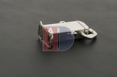 KüHLER ABGASRüCKFüHRUNG AKS DASIS 040073N 13