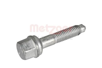 Śruba, wtryskiwacz METZGER AUTOTEILE 0873067