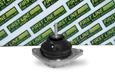 окачване, двигател FIRST LINE FEM3164