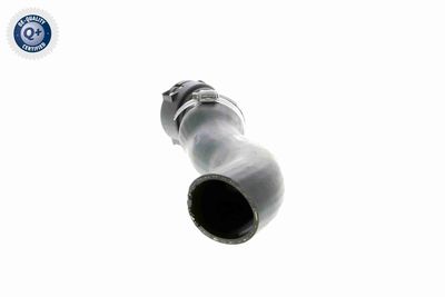 FURTUN EAR SUPRAALIMENTARE VAICO V201620 3