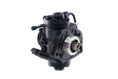 POMPA DE INALTA PRESIUNE REMANTE 002002000425R 49