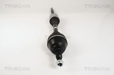 PLANETARA TRISCAN 854025648 4