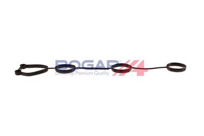 GARNITURA CAPAC SUPAPE BOGAP A1118105 2