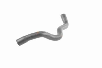 FURTUN RADIATOR VAICO V203246 4