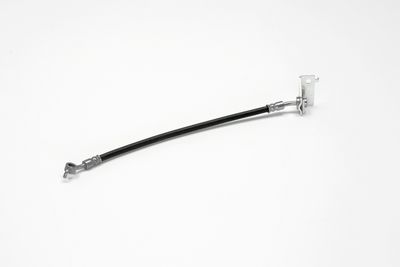 FURTUN FRANA ATE 24529603933 24