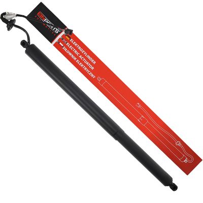 Elektromotor, vrata prtljažnika Einparts Automotive EPGSA037