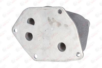 RADIATOR ULEI ULEI MOTOR BIRTH 80124 8