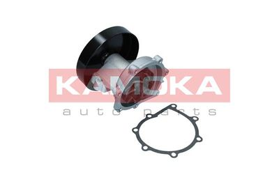 Water Pump, engine cooling T0247