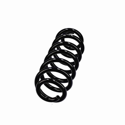ARC SPIRAL EIBACH R22928 14