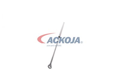 AMORTIZOR PORTBAGAJ ACKOJA A520065 27
