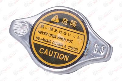 BUSON RADIATOR BIRTH 8069 2