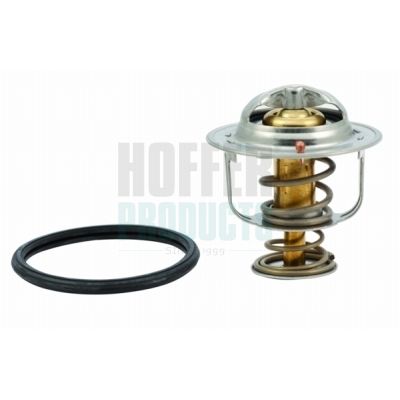 TERMOSTAT LICHID RACIRE