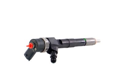 INJECTOR REMANTE 002003001391R 34